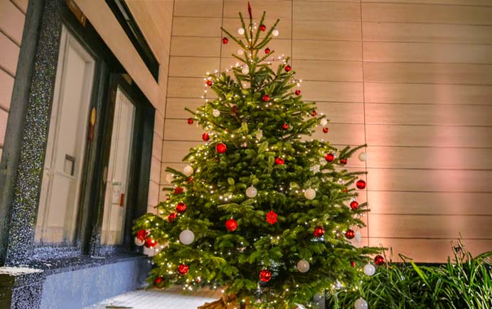 Echter Weichnachtsbaum Tanne mit Deko