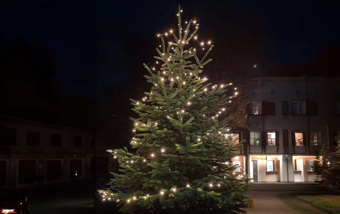 Echter Weichnachtsbaum Tanne mit Lichterkette